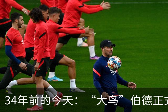 34年前的今天：“大鸟”伯德正式宣布退役 其为绿军效力13载